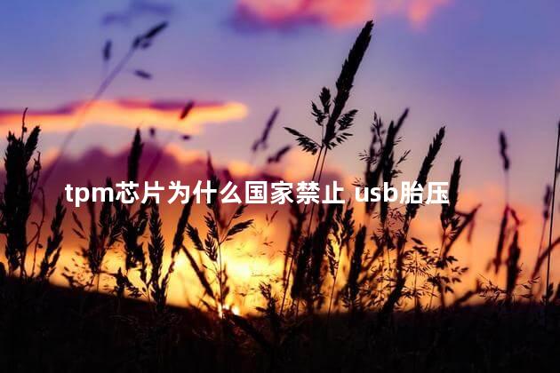 tpm芯片为什么国家禁止 usb胎压监测app下载